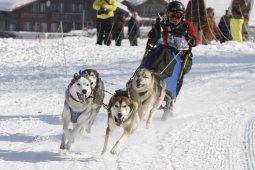 Lenk 2012 SM